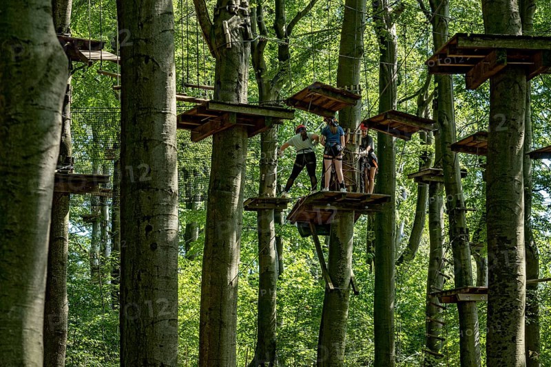 Group of young woman, girls climbing in the climbing forest, platforms, ropes, rope ladders, beech trees, beech forest, excursion, summit mountain Hoherodskopf, Tertiary volcano, Schotten, Vogelsberg Volcanic Region nature park Park, Hesse, Germany, Europe