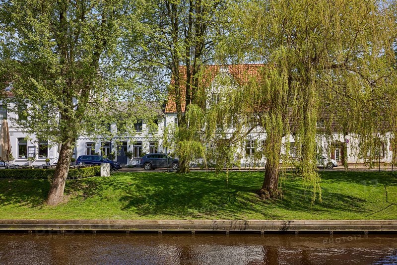 Trees at the Mittelburggraben in Friedrichstadt, district of Nordfriesland, Schleswig-Holstein, Germany, Europe