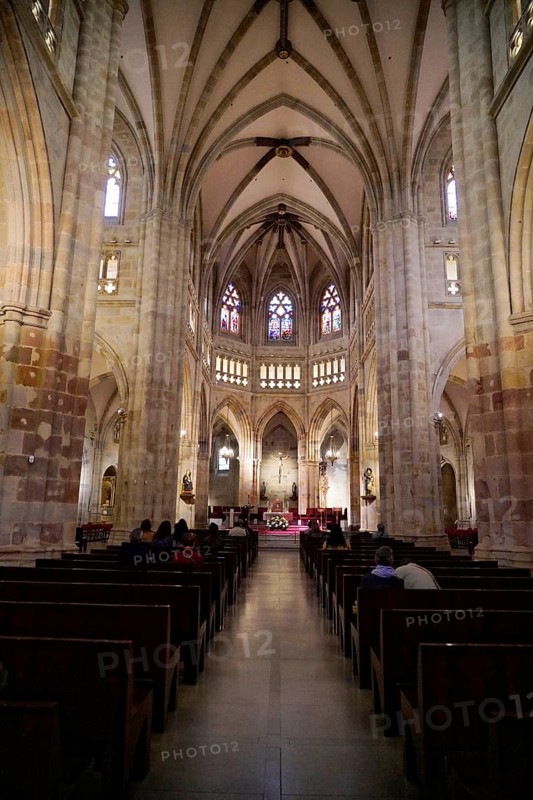 Cathedral, Old Town, Bilbao, Basque Country, Spain, Europe, Interior of a Gothic church with high ceilings and decorative elements, Europe