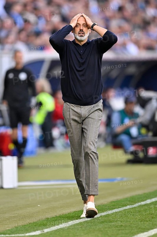 Coach Pellegrino Matarazzo TSG 1899 Hoffenheim engaged on the sidelines, gesture, gesture, disappointed, PreZero Arena, Sinsheim, Baden-Wuerttemberg, Germany, Europe