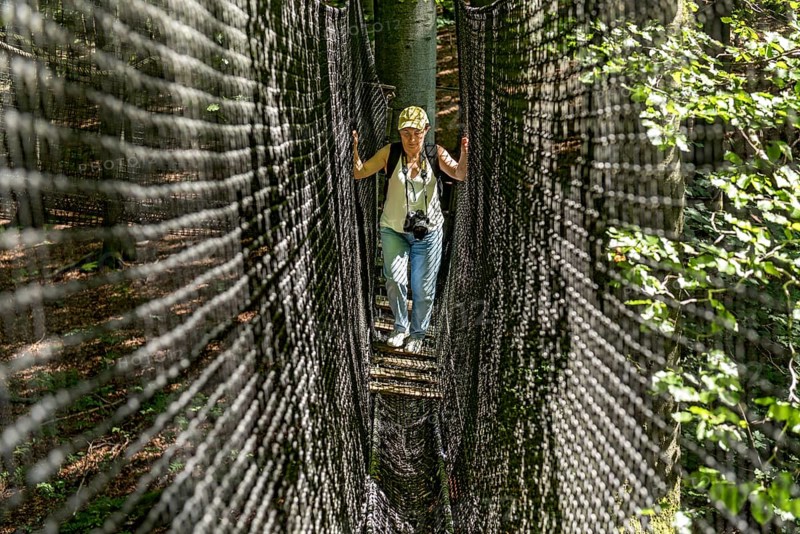 Sporty woman, tourist with camera in treetop path, suspension bridges, ropes, nets, beech forest, excursion, summit mountain Hoherodskopf, Tertiary volcano, Schotten, Vogelsberg Volcanic Region nature park Park, Hesse, Germany, Europe