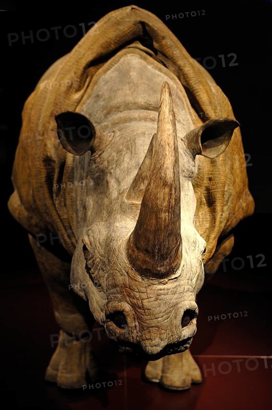 Costume for rhinoceros in a theatre play 2007 at the Victoria & Albert Museum, 1-5 Exhibition Rd, London, England, Great Britain