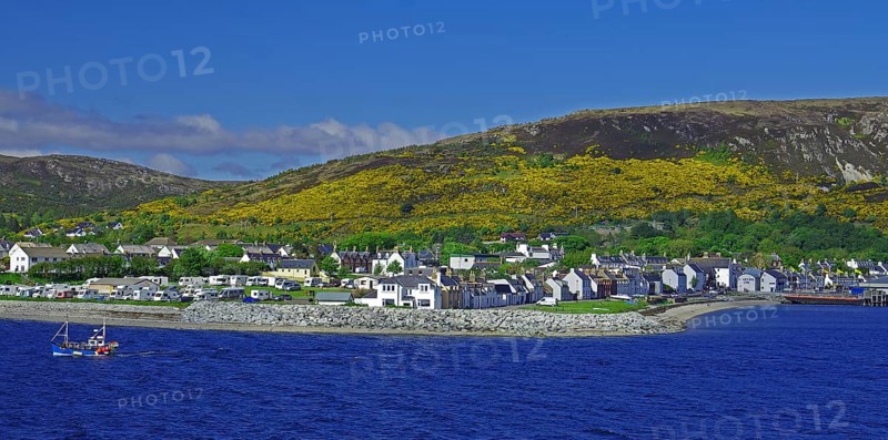 Harbour and a fishing boat, gorse-covered mountains, Ullapool, Scotland Great Britain