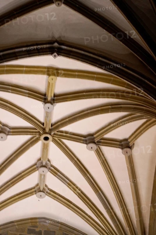 The church Iglesia de San Anton at the river Nervion in Bilbao, Gothic ceiling with ribbed vault made of stone in a church, The church Iglesia de San Anton at the river Nervion in Bilbao. Built in 1510, the church is a Catholic place of worship in the historic centre. It is built in the Gothic style with Baroque elements, BILBAO, Spain, Europe