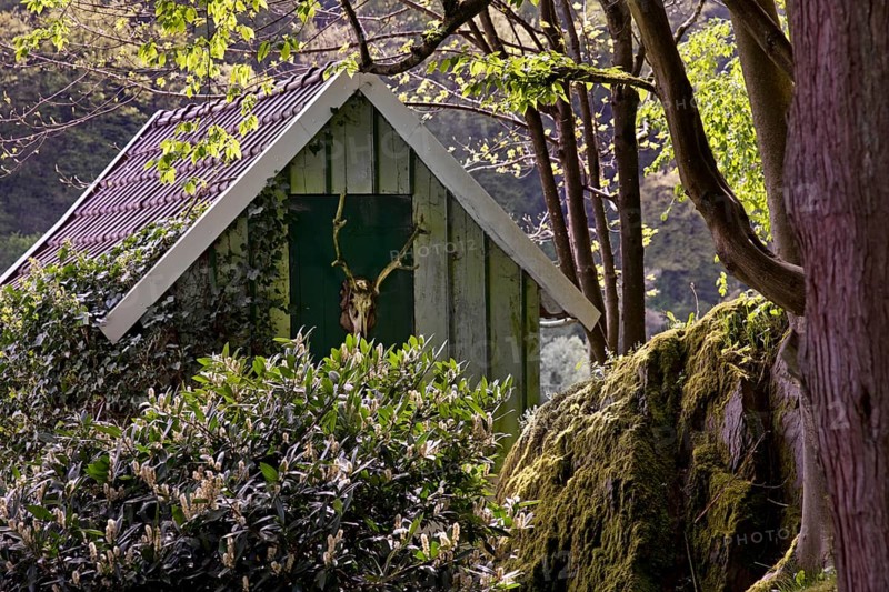 Small garden house with deer antlers in Unterburg, Solingen, Bergisches Land, North Rhine-Westphalia