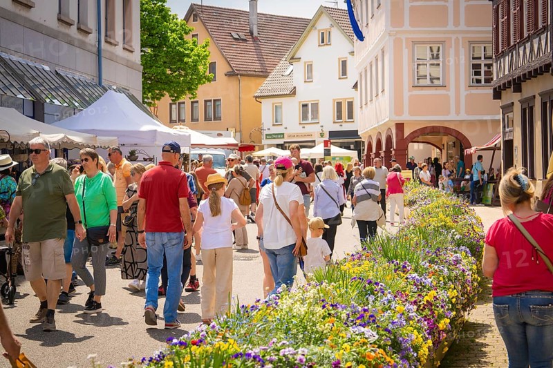 People enjoying a city festival with flower beds and market stalls in sunny spring weather, Spring, Nagold, Black Forest, Germany, Europe