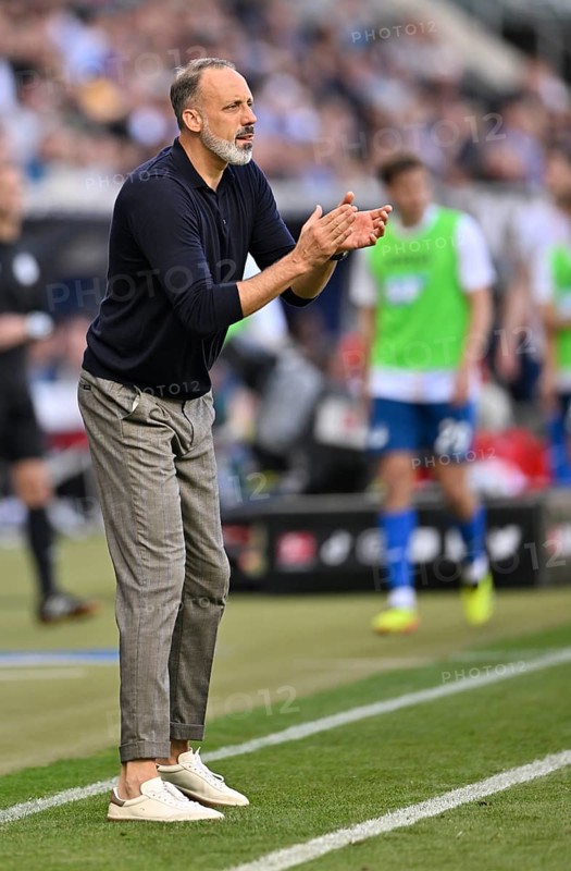 Coach Pellegrino Matarazzo TSG 1899 Hoffenheim engaged on the sidelines, gestures, clapping his hands in encouragement, PreZero Arena, Sinsheim, Baden-Wuerttemberg, Germany, Europe