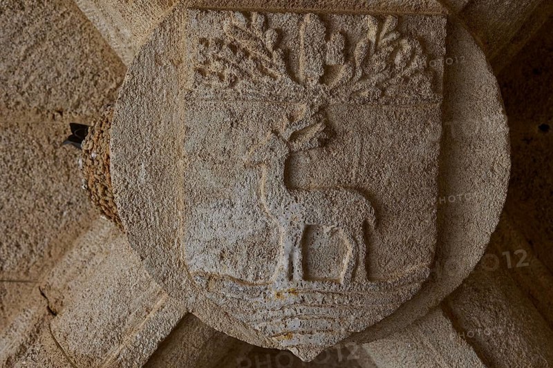 Worn stone relief of a stag under a tree in a niche, Grand Master's Palace, Knights' Town, Rhodes Town, Rhodes, Dodecanese, Greek Islands, Greece, Europe
