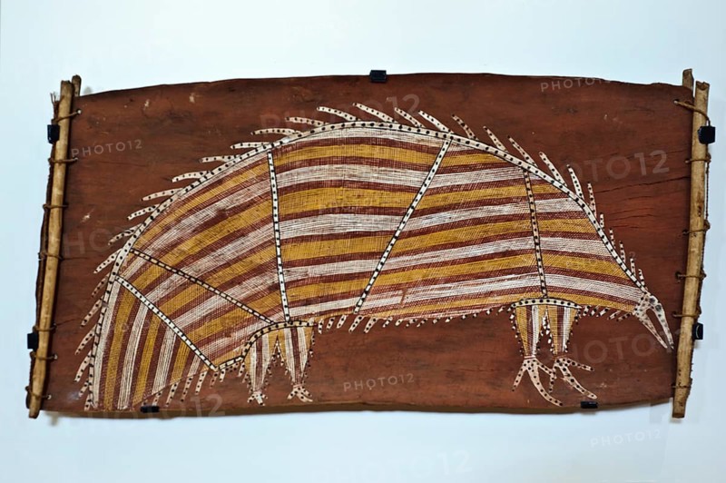 Aboriginal art by Mick Kubarkku, a 20th century artist from Australia, bark painting called Nurrbeck, echidna, exhibited in the Musee Hebre de Saint Clement, Rochefort, France, Europe