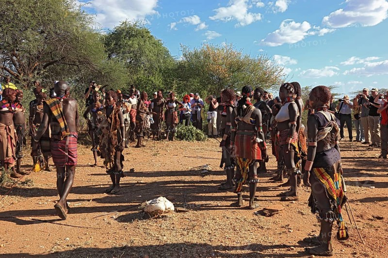 South Ethiopia, Omo region, among the Hamar tribe, Hamer, Hamma, Hammer, Amar or Amer, family reunion for initiation rituals, ceremony, bull leap, Ethiopia, Africa