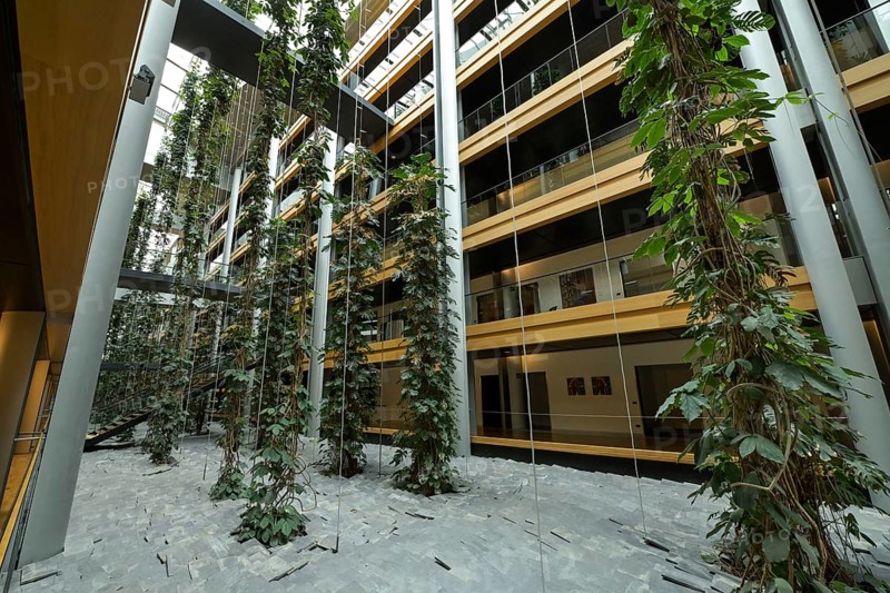 Plants, green inner courtyard, offices, interior view, European Parliament, 1 All. du Printemps, Strasbourg, Departement Bas-Rhin, France, Europe