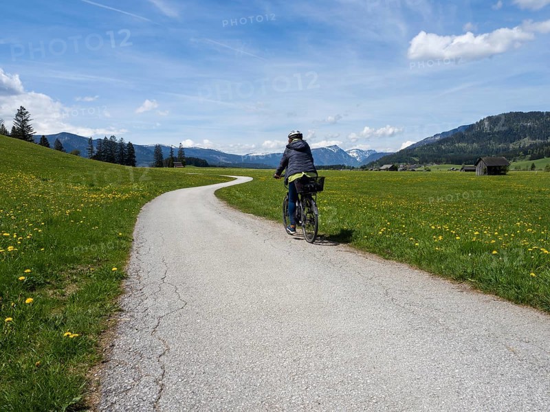 Path leads through green meadows, cyclist on the Salzkammergut cycle path, cloudy mood over mountain peaks, near Bad Mitterndorf, Styria, Austria, Europe