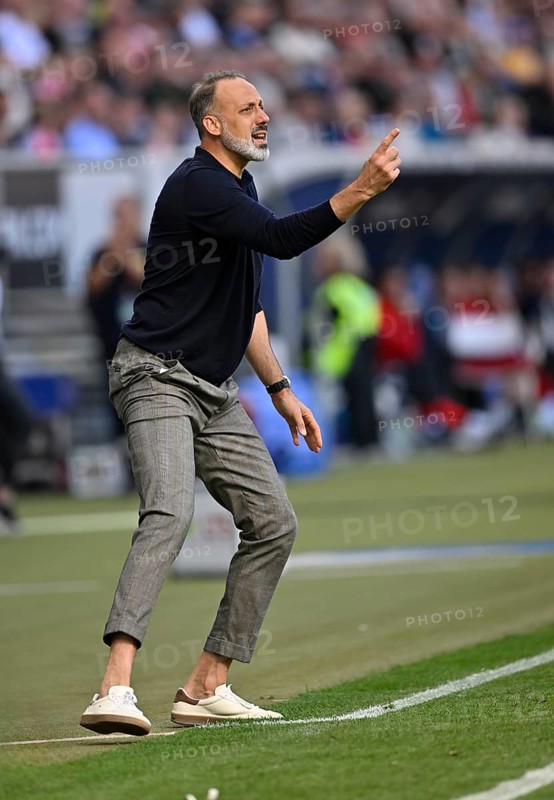 Coach Pellegrino Matarazzo TSG 1899 Hoffenheim engaged on the sidelines, gestures, gesture, PreZero Arena, Sinsheim, Baden-Wuerttemberg, Germany, Europe