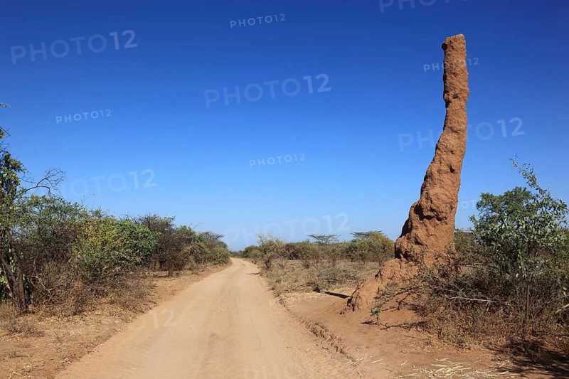 South Ethiopia, Omo Region, termite mound, termite burrow on a dusty country road, Ethiopia, Africa