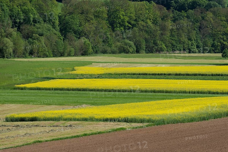 Middle Jagst valley in spring, May, river valley, river, Jagst, Baechlingen, Langenburg-Baechlingen, Langenburg an der Jagst, Hohenlohe, Heilbronn-Franken, Baden-Wuerttemberg, Germany, Europe