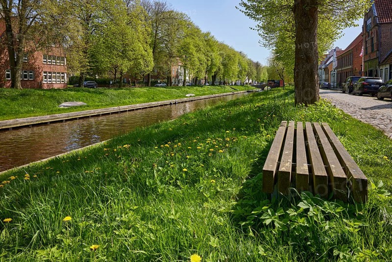 Public wooden bench between trees on the banks of the Mittelburggraben in Friedrichstadt, Nordfriesland district, Schleswig-Holstein, Germany, Europe