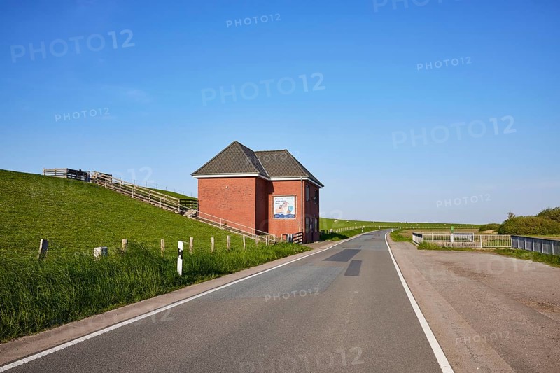 Country road, dyke and dyke house with stairs to the top of the dyke near Tetenbuell, Nordfriesland district, Schleswig-Holstein, Germany, Europe