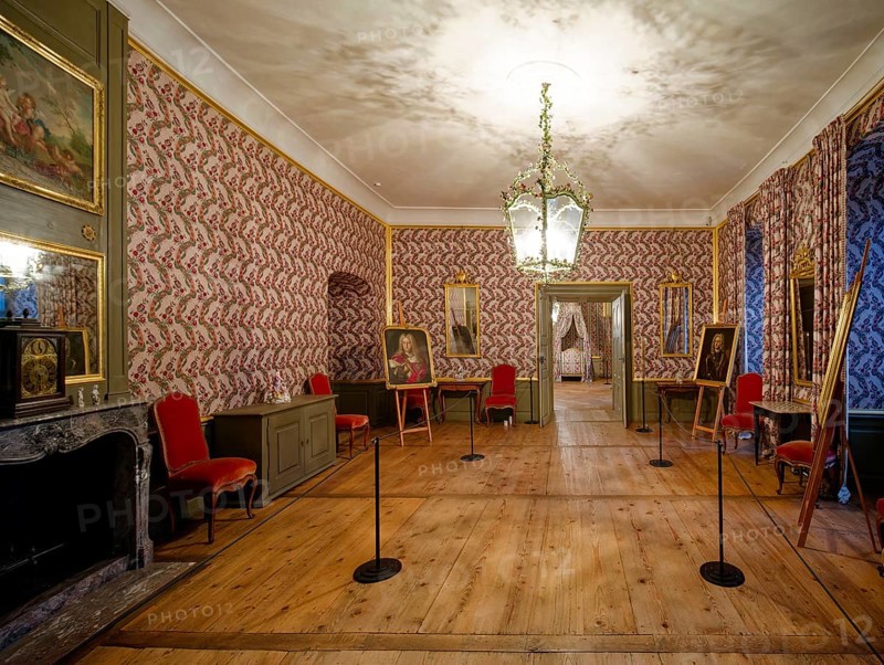 Antechamber of Elector Carl Theodor, Schwetzingen Palace, interior view, Schwetzingen, Baden-Wuerttemberg, Germany, Europe