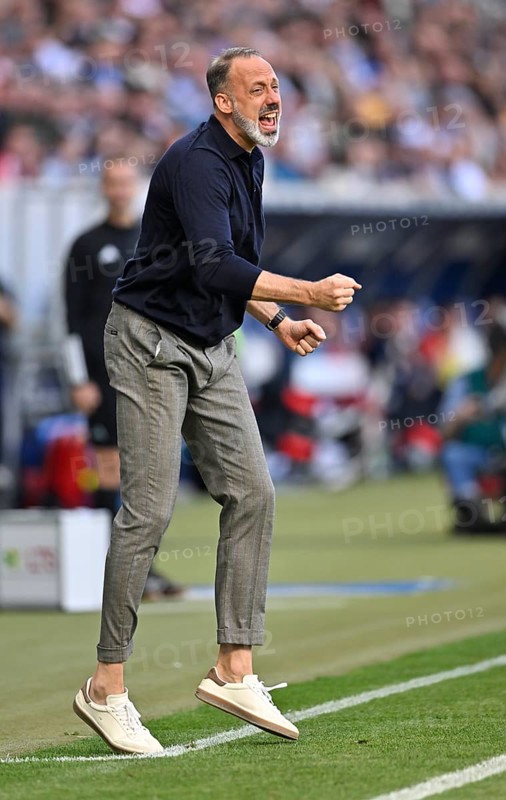 Coach Pellegrino Matarazzo TSG 1899 Hoffenheim engaged on the sidelines, gestures, gesture, PreZero Arena, Sinsheim, Baden-Wuerttemberg, Germany, Europe