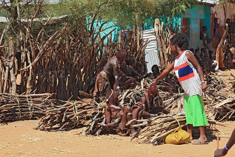Southern Ethiopia, Omo region, market in the village of Turmi, the tribe of the Hamar, Hamer, Hamma, Hammer, Amar or Amer, sale of firewood, Ethiopia, Africa