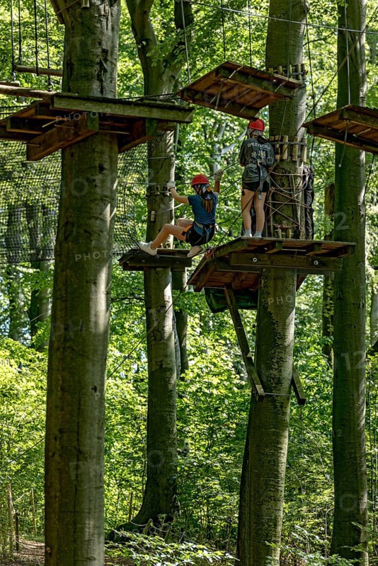 Group of young woman, girls climbing in the climbing forest, platforms, ropes, rope ladders, beech trees, beech forest, excursion, summit mountain Hoherodskopf, Tertiary volcano, Schotten, Vogelsberg Volcanic Region nature park Park, Hesse, Germany, Europe