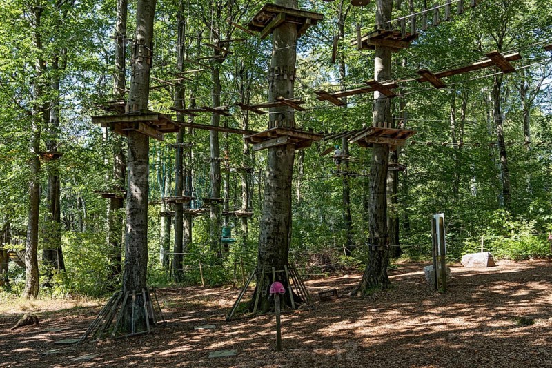 Platforms, ropes, rope ladders, suspension bridges, beech trees in the climbing forest, beech forest, excursion, Hoherodskopf summit, Tertiary volcano, Schotten, Vogelsberg Volcano Region nature park Park, Hesse, Germany, Europe