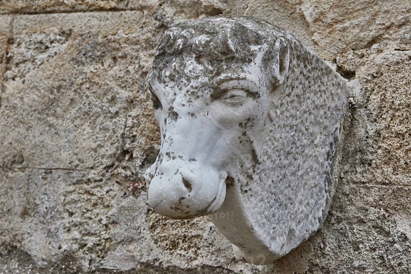 Stone sculpture of a horse's head, integrated into a stencil wall, outdoor area, Archaeological Museum, Old Town, Rhodes Town, Rhodes, Dodecanese, Greek Islands, Greece, Europe