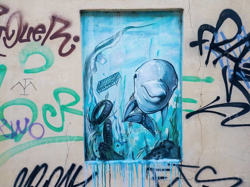 Dolphin, Graffiti, Olbia, Sardinia, Italy, Europe