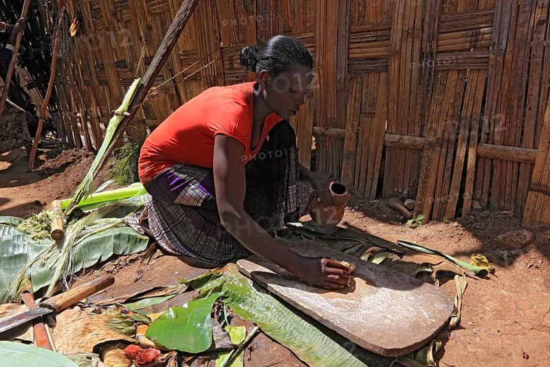 South Ethiopia, among the Dorze people, woman processes the mass of the ground false banana, which is fermented and processed into flatbread, Ethiopia, Africa