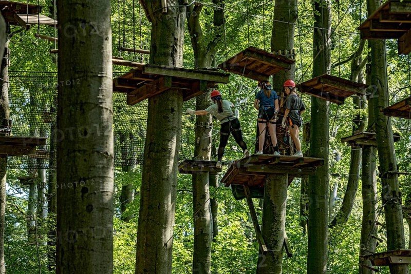 Group of young woman, girls climbing in the climbing forest, platforms, ropes, rope ladders, beech trees, beech forest, excursion, summit mountain Hoherodskopf, Tertiary volcano, Schotten, Vogelsberg Volcanic Region nature park Park, Hesse, Germany, Europe