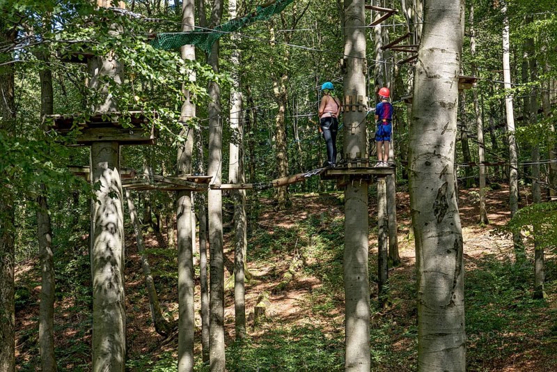 Woman and boy climbing in the climbing forest, platforms, ropes, rope ladders, suspension bridges, beech trees, beech forest, family outing, Hoherodskopf summit, Tertiary volcano, Schotten, Vogelsberg Volcanic Region nature park Park, Hesse, Germany, Europe