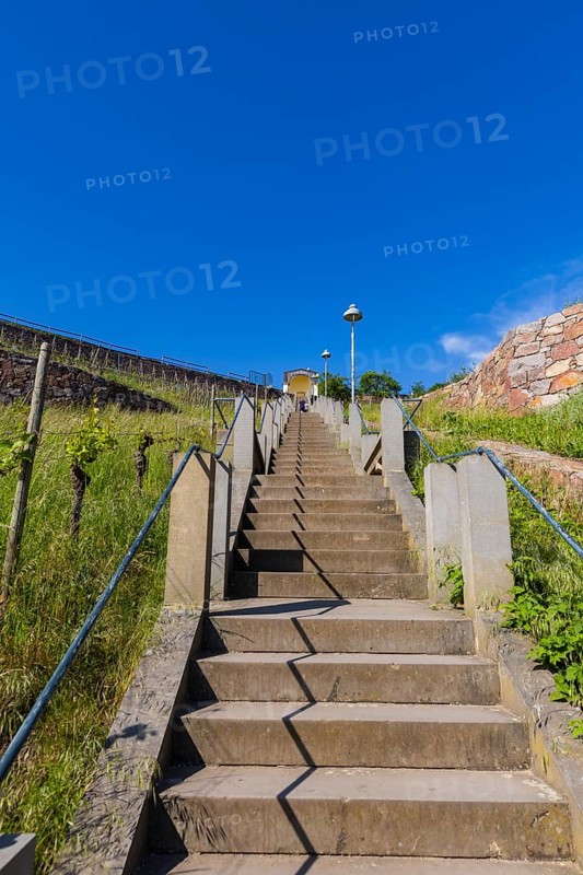 Winery at the Goldener Wagen. Spitzhaustreppe, Radebeul, Saxony, Germany, Europe