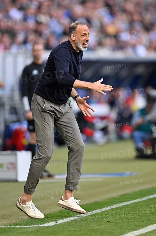 Coach Pellegrino Matarazzo TSG 1899 Hoffenheim engaged on the sidelines, gestures, gesture, PreZero Arena, Sinsheim, Baden-Wuerttemberg, Germany, Europe