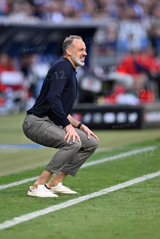 Coach Pellegrino Matarazzo TSG 1899 Hoffenheim engaged on the sidelines, gestures, gesture, PreZero Arena, Sinsheim, Baden-Wuerttemberg, Germany, Europe