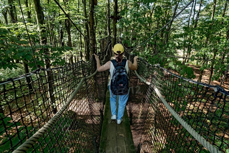 Sporty woman, tourist with rucksack in treetop path, suspension bridges, ropes, nets, beech forest, excursion, summit mountain Hoherodskopf, Tertiary volcano, Schotten, Vogelsberg Volcanic Region nature park Park, Hesse, Germany, Europe