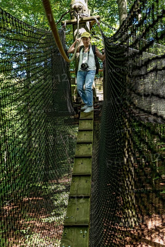 Sporty woman, tourist with camera in treetop path, suspension bridges, chicken ladder, ropes, nets, beech forest, excursion, summit mountain Hoherodskopf, Tertiary volcano, Schotten, Vogelsberg Volcanic Region nature park Park, Hesse, Germany, Europe