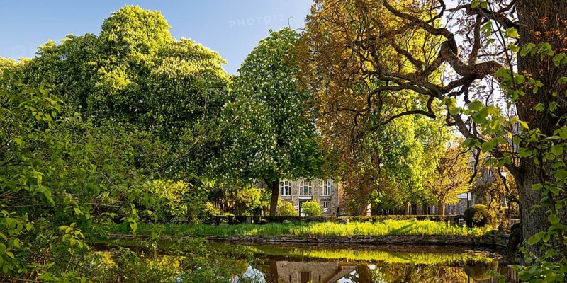 Castle park with a view of the riding school, Bueckeburg Castle, Bueckeburg, Lower Saxony, Germany, Europe