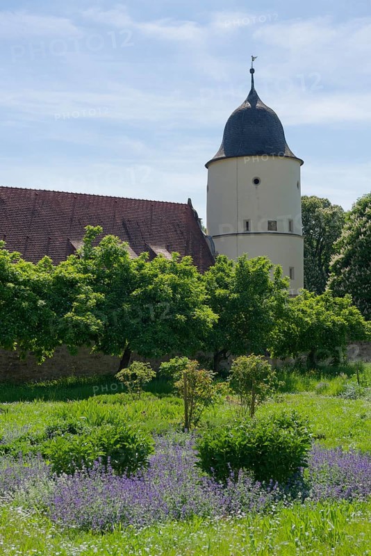 Monastery garden in Schoental, herb garden, herbal pharmacy, Way of St James, monastery pharmacy, Cistercian, Cistercian monastery, monastery, Jagst, Jagsttal, Hohenlohe, Heilbronn-Franken, Baden-Wuerttemberg, Germany, Europe