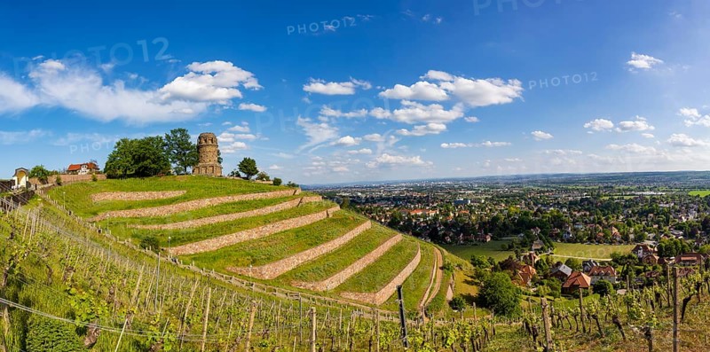 Winery at the Goldener Wagen. The Bismarck Tower in Radebeul, also known as the Bismarck Column, is one of around 145 Bismarck Towers still in existence in Germany in honour of Prince Otto von Bismarck (1815-1898) . The Radebeul tower was individually designed by Wilhelm Kreis, built by master builder Alfred Grosse from Koetzschenbroda and inaugurated on 2 September 1907. It has a height of 18 metres, Radebeul, Saxony, Germany, Europe