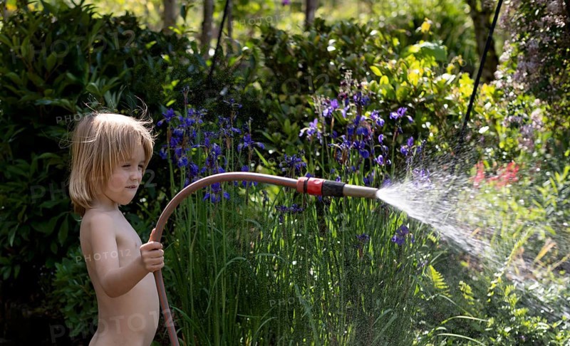 Boy, 5 years, blonde, watering flowers, spraying with garden hose, garden, summer, Stuttgart, Baden-Wuerttemberg, Germany, Europe