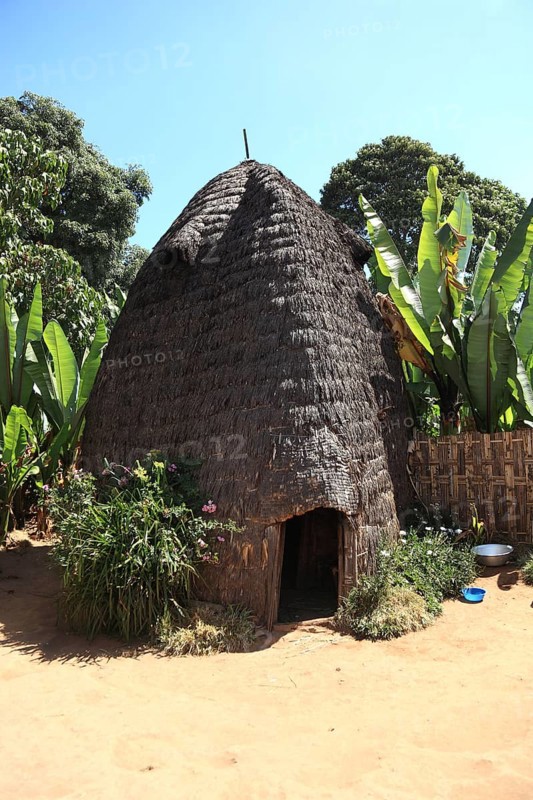 South Ethiopia, among the Dorze people, typical hut, house, Ethiopia, Africa