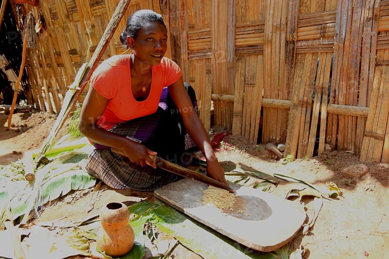 South Ethiopia, among the Dorze people, woman processes the mass of the ground false banana, which is fermented and processed into flatbread, Ethiopia, Africa