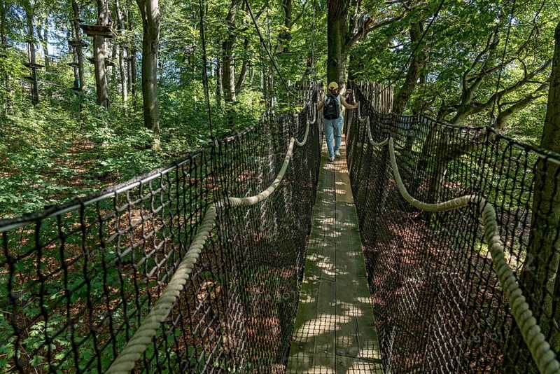 Woman on suspension bridge treetop path and climbing forest, platforms, ropes, rope ladders, beech trees, beech forest, excursion, summit mountain Hoherodskopf, tertiary volcano, Schotten, Vogelsberg Volcano Region nature park Park, Hesse, Germany, Europe