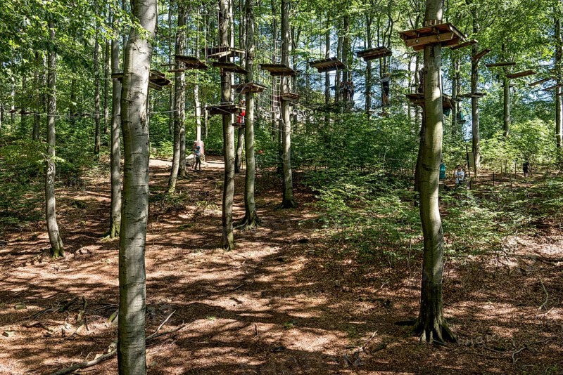Platforms, ropes, rope ladders, suspension bridges, beech trees in the climbing forest, beech forest, excursion, Hoherodskopf summit, Tertiary volcano, Schotten, Vogelsberg Volcano Region nature park Park, Hesse, Germany, Europe