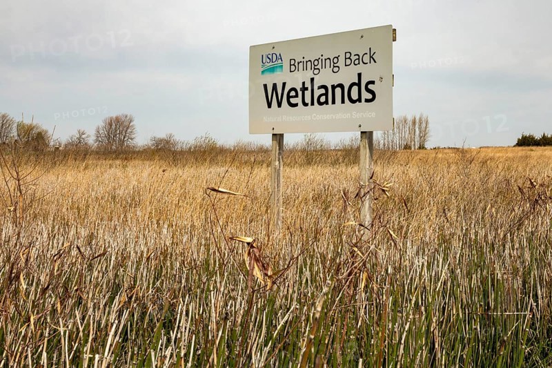 Fort Dodge, Iowa, Whispering Wings Marsh, a wetlands habitat conservation area where pheasants and ducks can be hunted