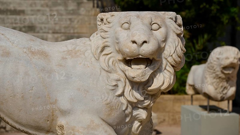 Stone statue of a standing lion, displayed outdoors, showing fine stone carving and details, outdoor area, Archaeological Museum, Old Town, Rhodes Town, Rhodes, Dodecanese, Greek Islands, Greece, Europe