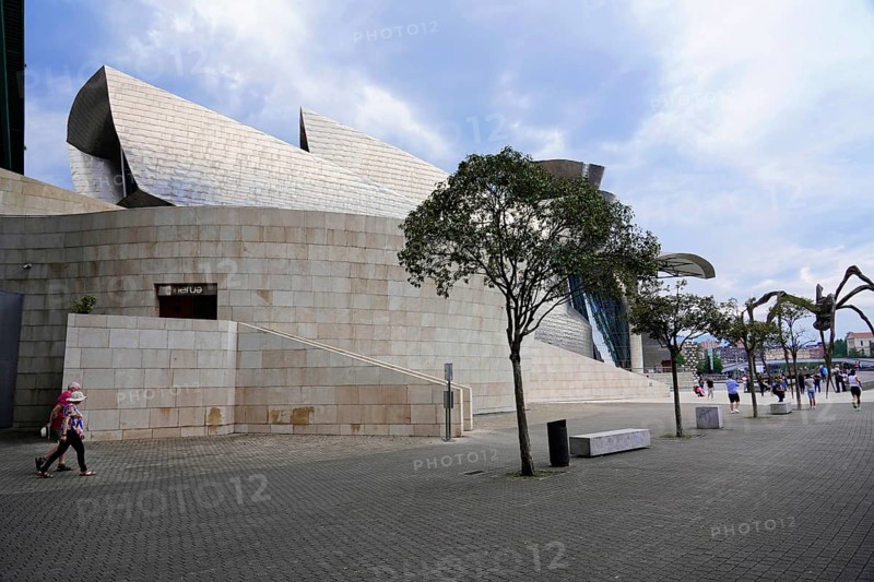 Guggenheim Museum, Bilbao, Basque Country, Spain, Europe, A modern building with interesting architecture, surrounded by trees and walkways, under a cloudy sky, Guggenheim Museum Bilbao on the banks of the river Nervion, architect Frank O. Gehry, Europe