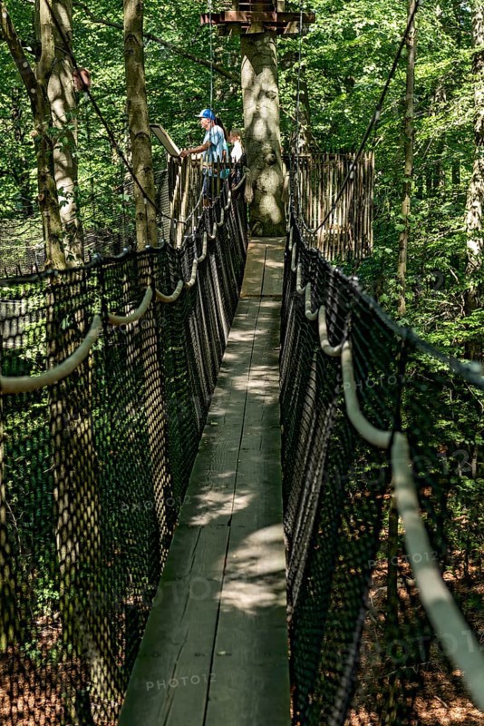 Sporty family, tourists in treetop path, suspension bridges, ropes, nets, beech forest, family excursion, Hoherodskopf summit, Tertiary volcano, Schotten, Vogelsberg Volcano Region nature park Park, Hesse, Germany, Europe