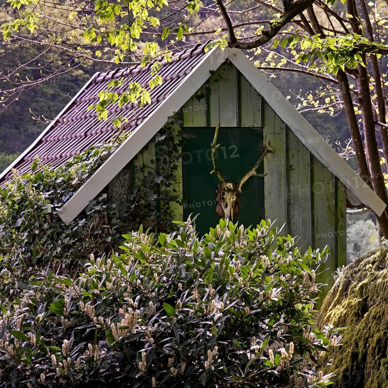 Small garden house with deer antlers in Unterburg, Solingen, Bergisches Land, North Rhine-Westphalia