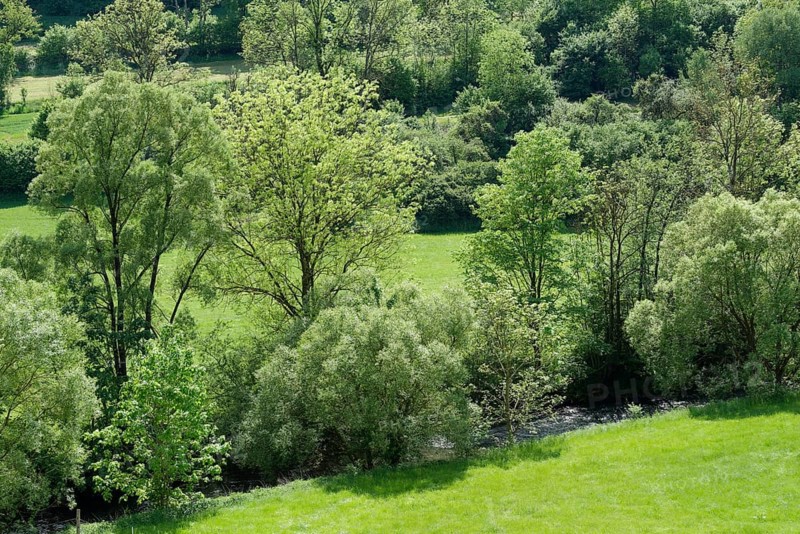 Spring in Buehlertal near Unterscheffach, Buehler, river, May, Schwaebisch Hall, Hohenlohe, Heilbronn-Franken, Baden-Wuerttemberg, Germany, Europe